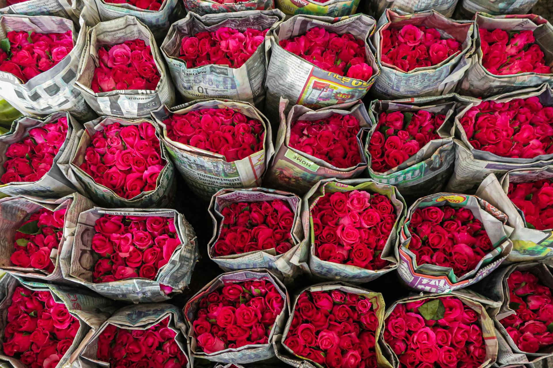 Flower Export