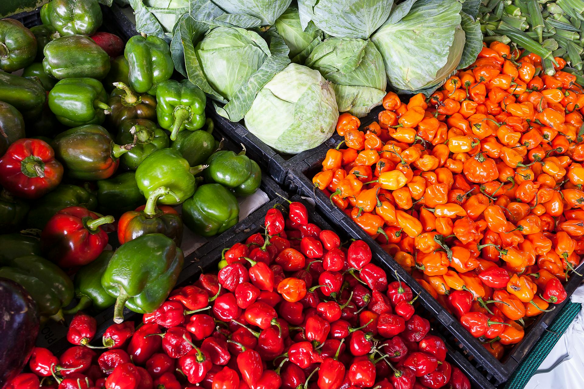 Vegetable Export